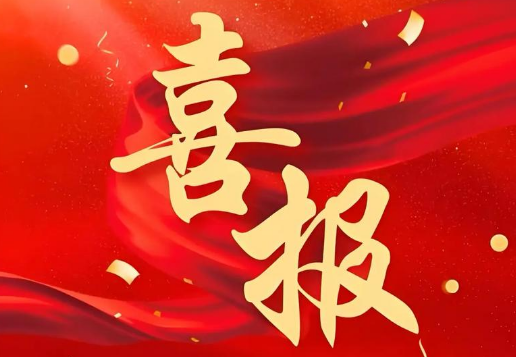 喜訊：我司榮獲“2024年度中國標簽印刷前50名企業”